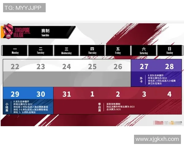 IG在Major赛中的技术表现分析与战术探讨